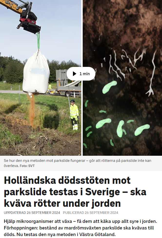 intervju om parkslide i svt med Okitech